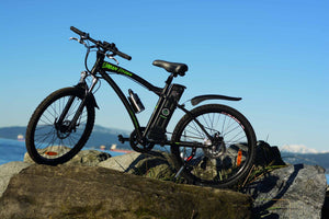 Top 5 Reasons To Get an E-Bike