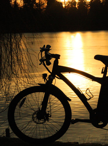 Electric Bikes Urban Ryder Green Light Cycle Ltd