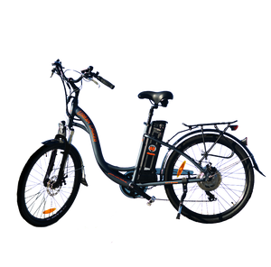Lightest step through electric bike 2025